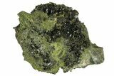 Lustrous, Epidote Crystals on Actinolite - Pakistan #164853-7